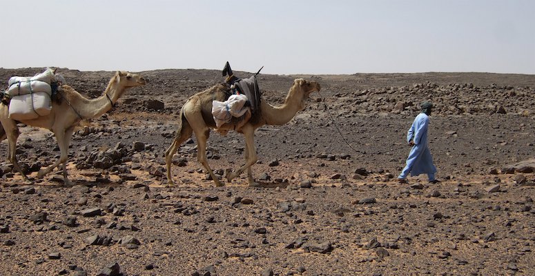 Alge?rie, De?sert, Tassili, Tassili N'Ajjer