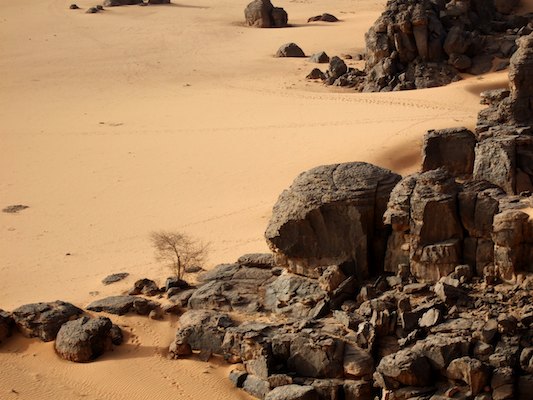 Alge?rie, De?sert, Tassili, Tassili N'Ajjer