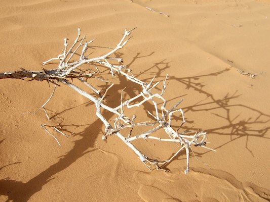 Alge?rie, De?sert, Tassili, Tassili N'Ajjer