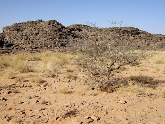 Alge?rie, De?sert, Tassili, Tassili N'Ajjer