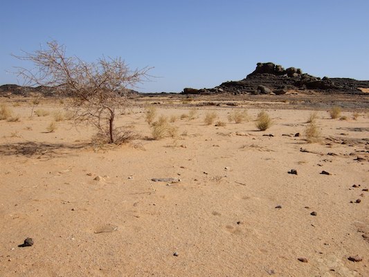 Alge?rie, De?sert, Tassili, Tassili N'Ajjer