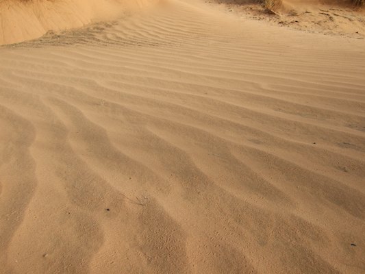 Alge?rie, De?sert, Tassili, Tassili N'Ajjer