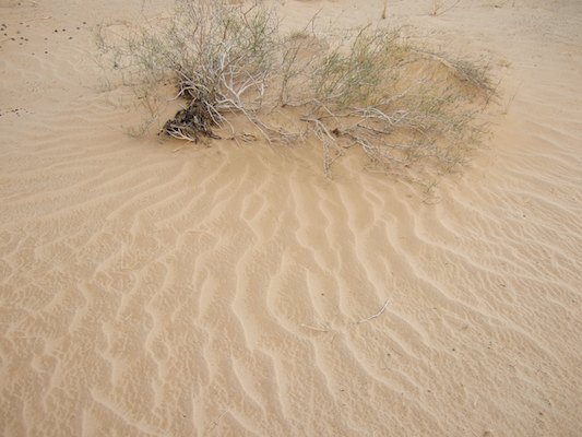 Alge?rie, De?sert, Tassili, Tassili N'Ajjer