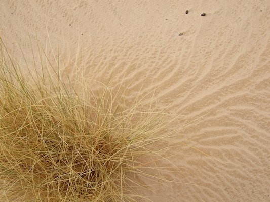 Alge?rie, De?sert, Tassili, Tassili N'Ajjer