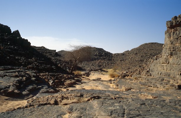 Alge?rie, De?sert, Tassili N'Ajjer