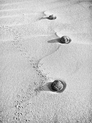 Noir et Blanc, Tassili N'Ajjer