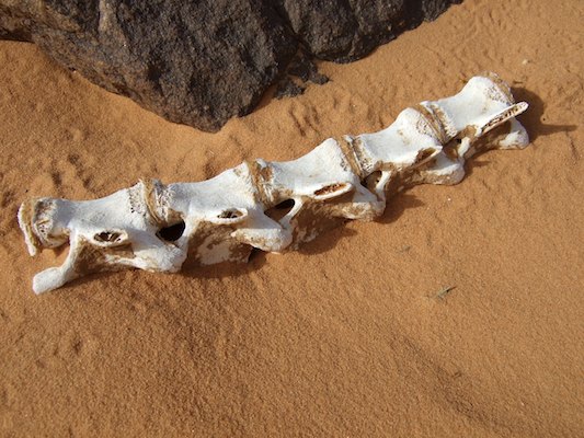 Alge?rie, De?sert, Tassili, Tassili N'Ajjer