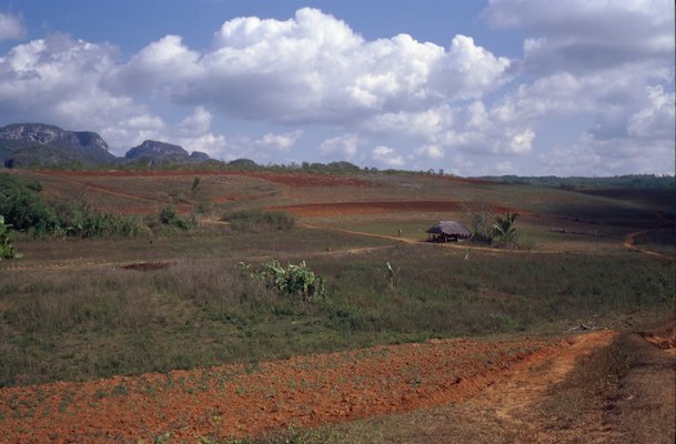 By Rom, Cuba, Voyage