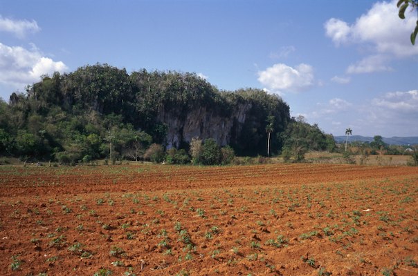 By Rom, Cuba, Voyage