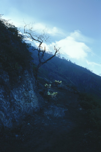 Romain Nosenzo