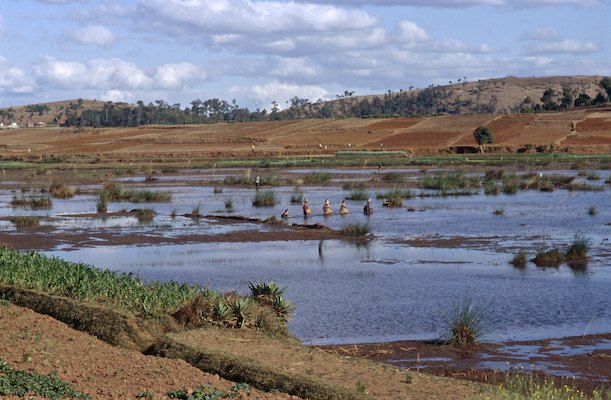 By Rom, Madagascar, Voyage