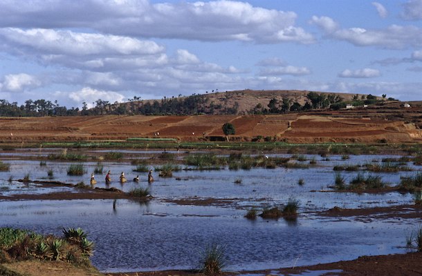By Rom, Madagascar, Voyage