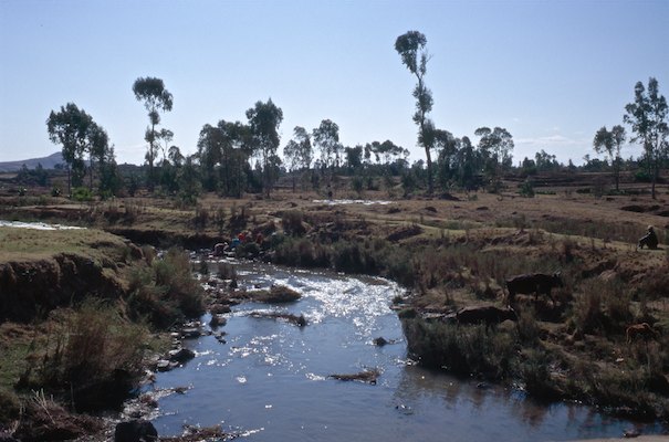 By Rom, Madagascar, Voyage