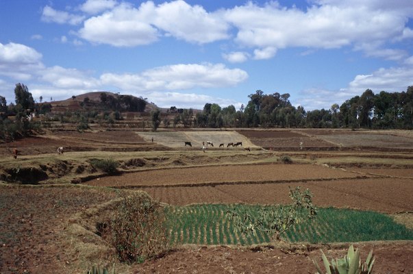 By Rom, Madagascar, Voyage