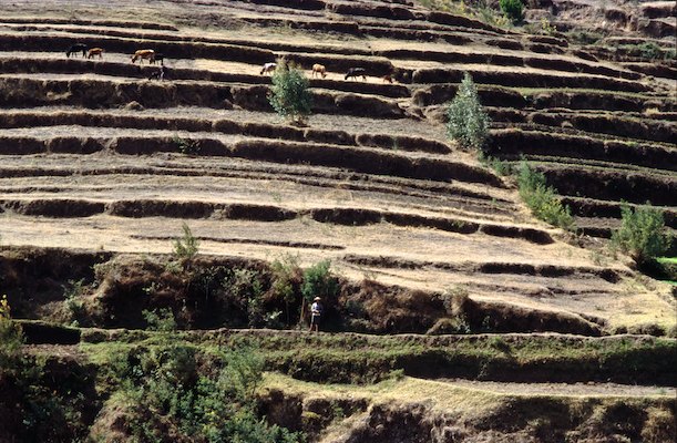 By Rom, Madagascar, Voyage