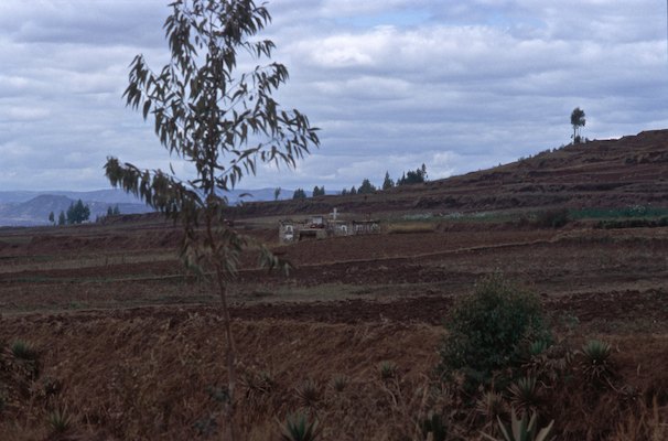 By Rom, Madagascar, Voyage