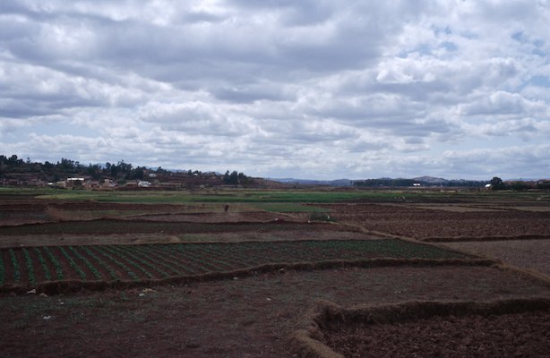 By Rom, Madagascar, Voyage
