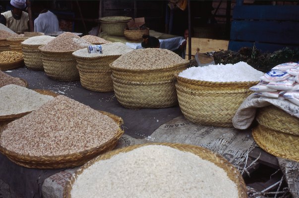 By Rom, Madagascar, Voyage
