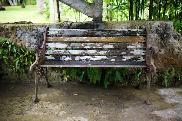 Jardin de Balata, Martinique