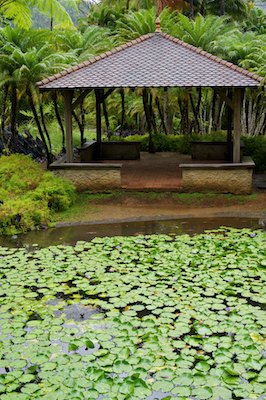 Jardin de Balata, Martinique
