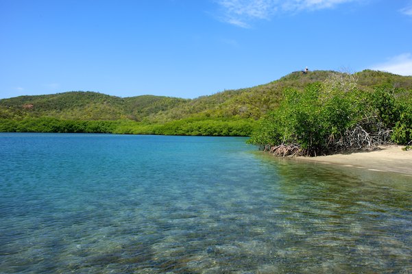 La caravelle, Martinique