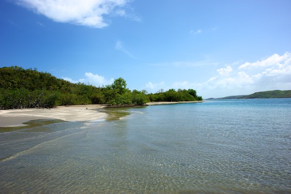 La caravelle, Martinique