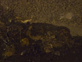 Fragments n3 ©Romain Nosenzo