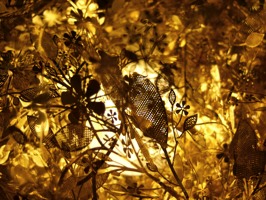 Fragments n55 ©Romain Nosenzo