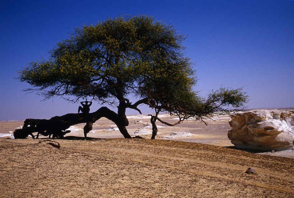 Romain Nosenzo