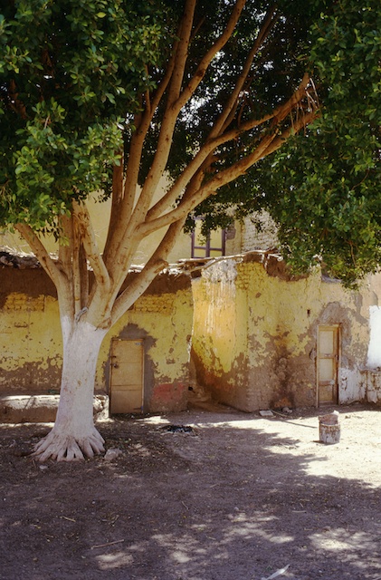 Romain Nosenzo