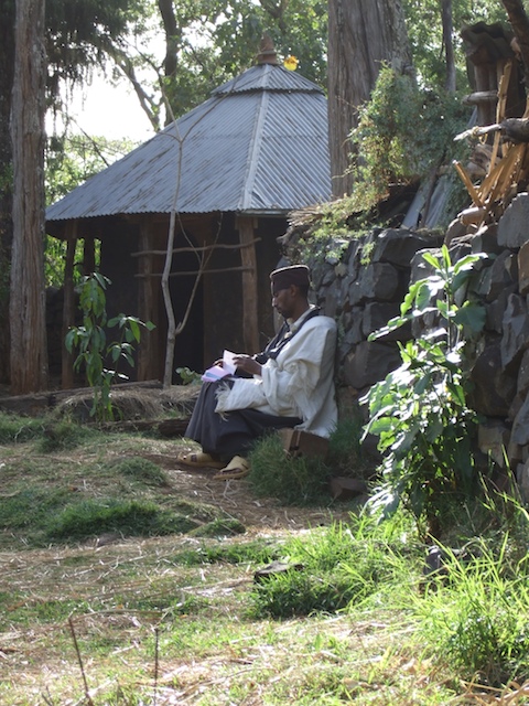 Romain Nosenzo