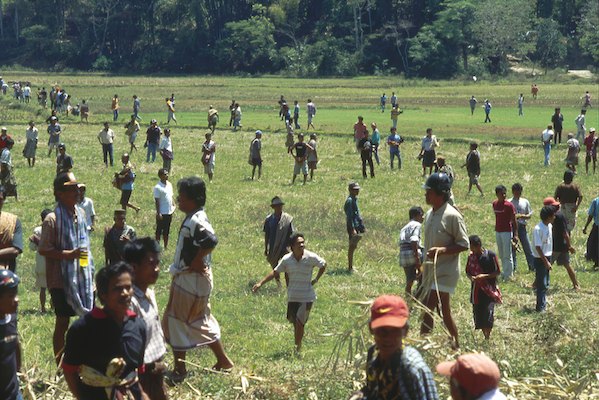 Promenades au pays des Toraja