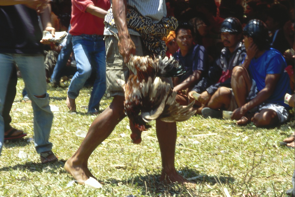Romain Nosenzo