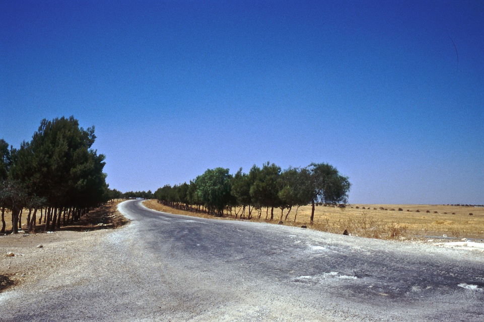 Romain Nosenzo