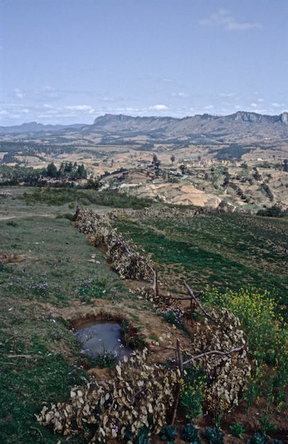 Romain Nosenzo