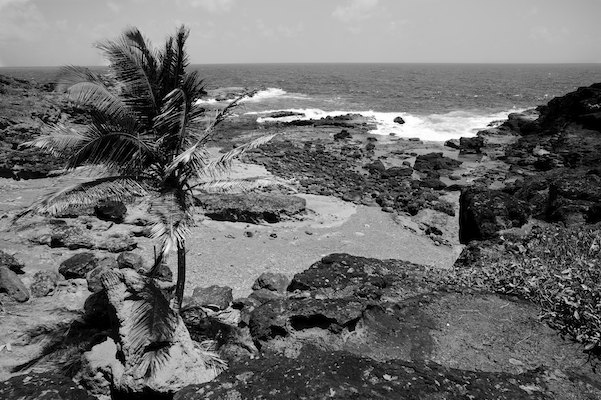 La presqu'île de la Caravelle