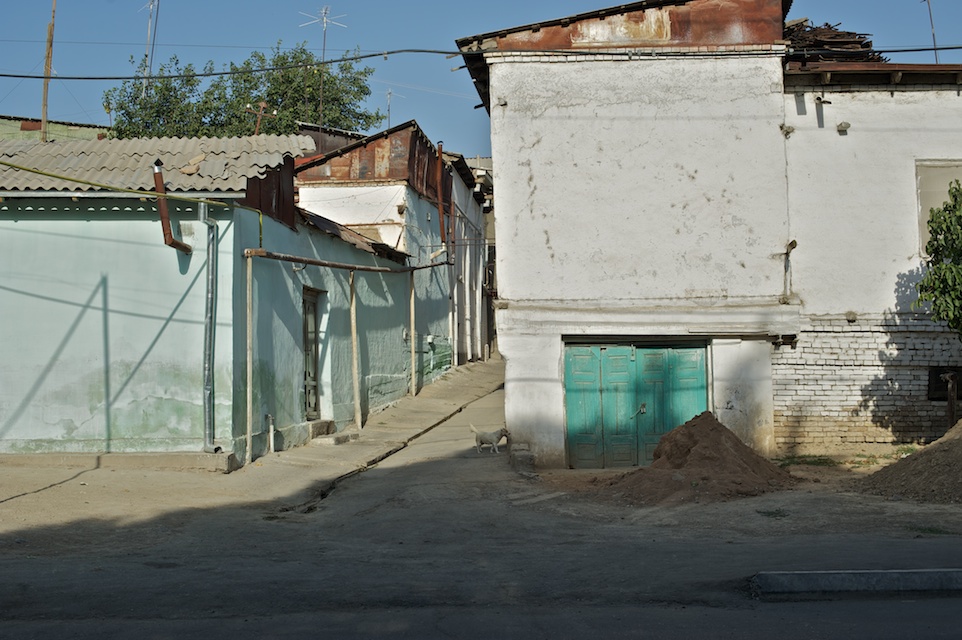 Romain Nosenzo