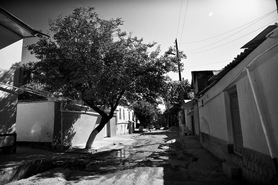 Romain Nosenzo