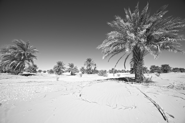 Tchad : Les paysages des Citadelles de Borkou