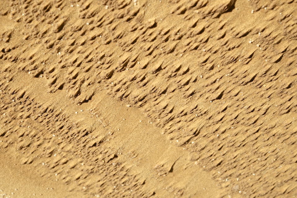 Romain Nosenzo