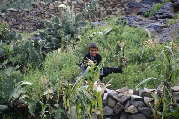 Al Hajjara (Yémen), une ville verte à flanc de colline escarpée